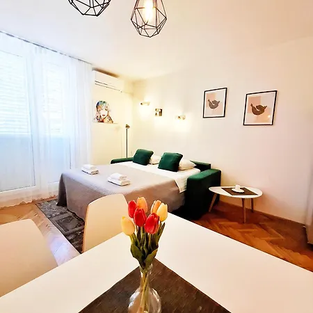 New Vikttoria Apartment
